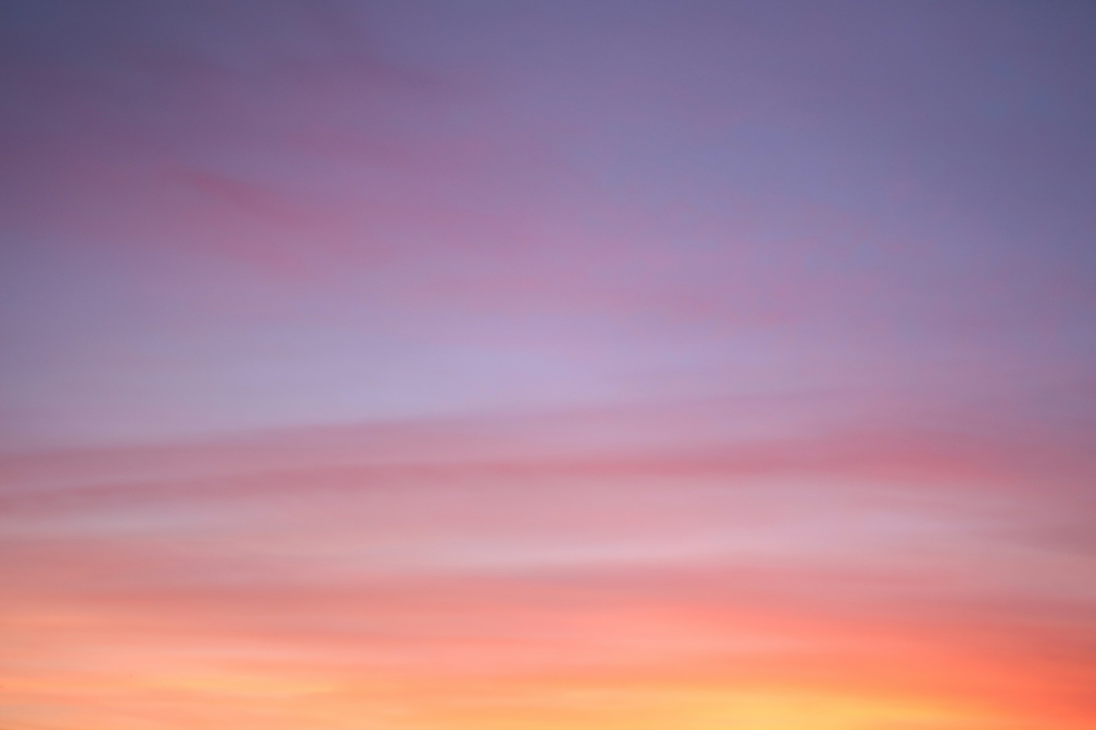 夕焼けの空
