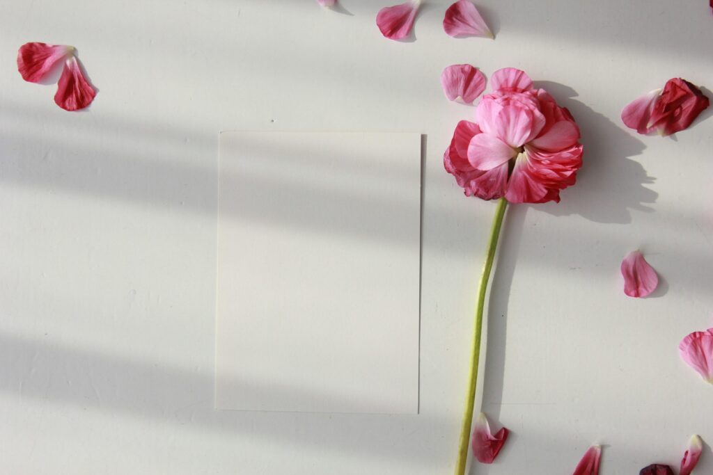 テーブルの上に置かれた白紙とピンクの花